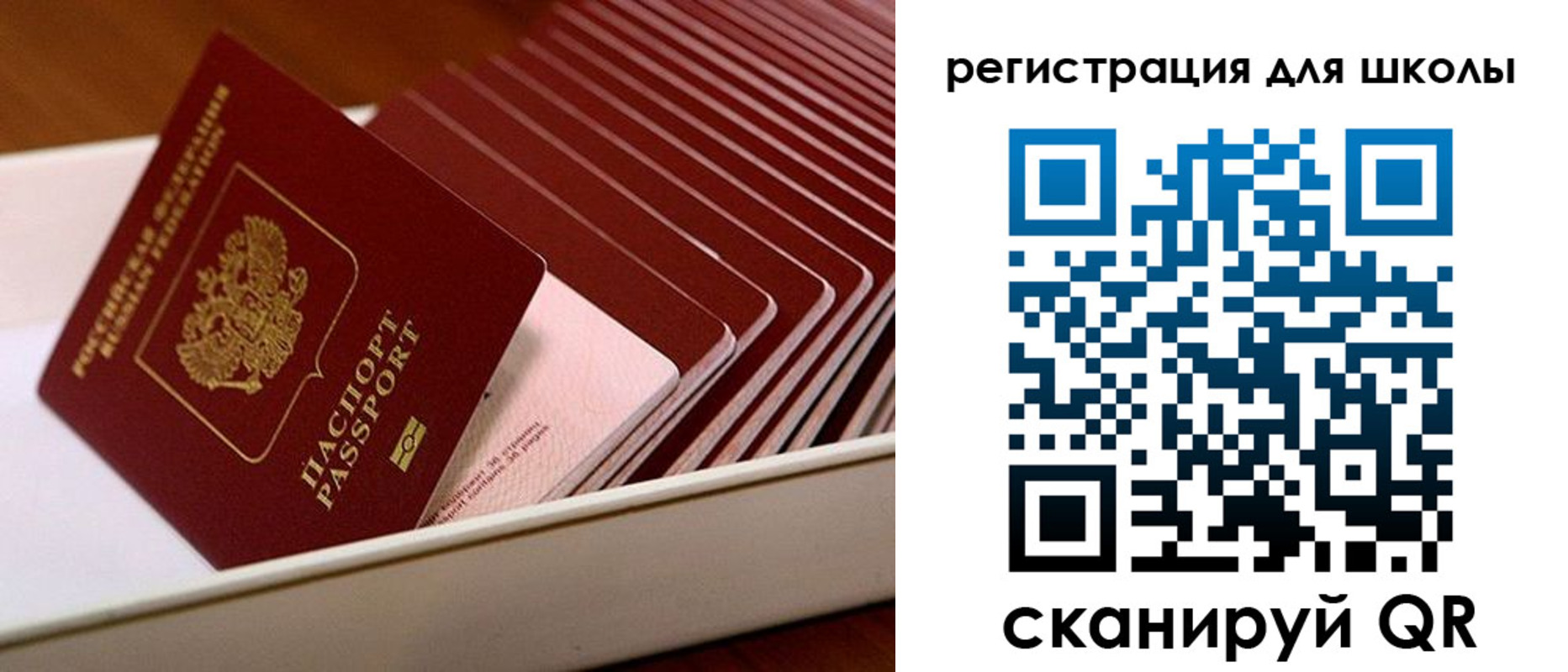 прописка гарантия в Жердевке